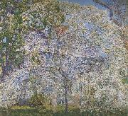 Spring,The Dogwood Tree Childe Hassam